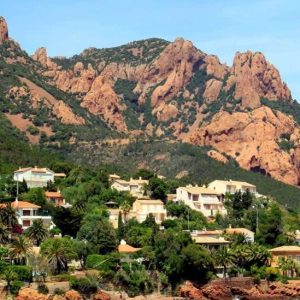 PELICAN – 01A14 – DUPLEX